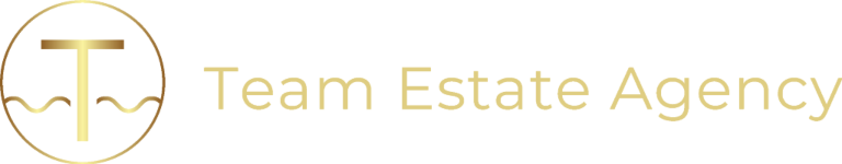 Team Estate Agency