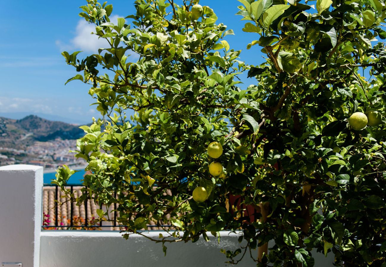 Stadthaus in La Herradura - Großem Pool, Jacuzzi und dem gewissen Extra!