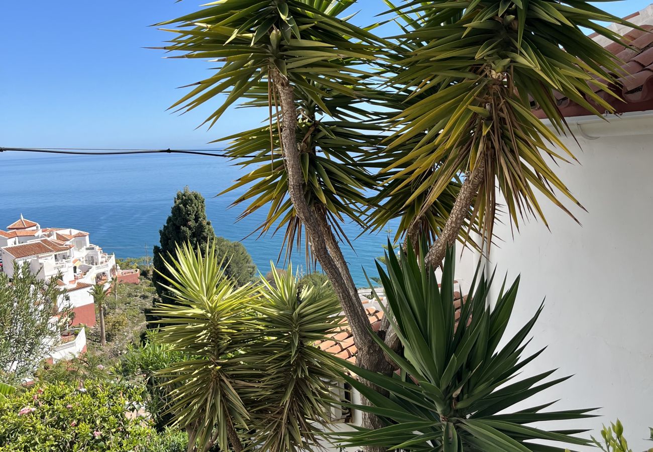 Ferienwohnung in Nerja - Wunderschöne Wohnung mit Meerblick und großer Terrasse 